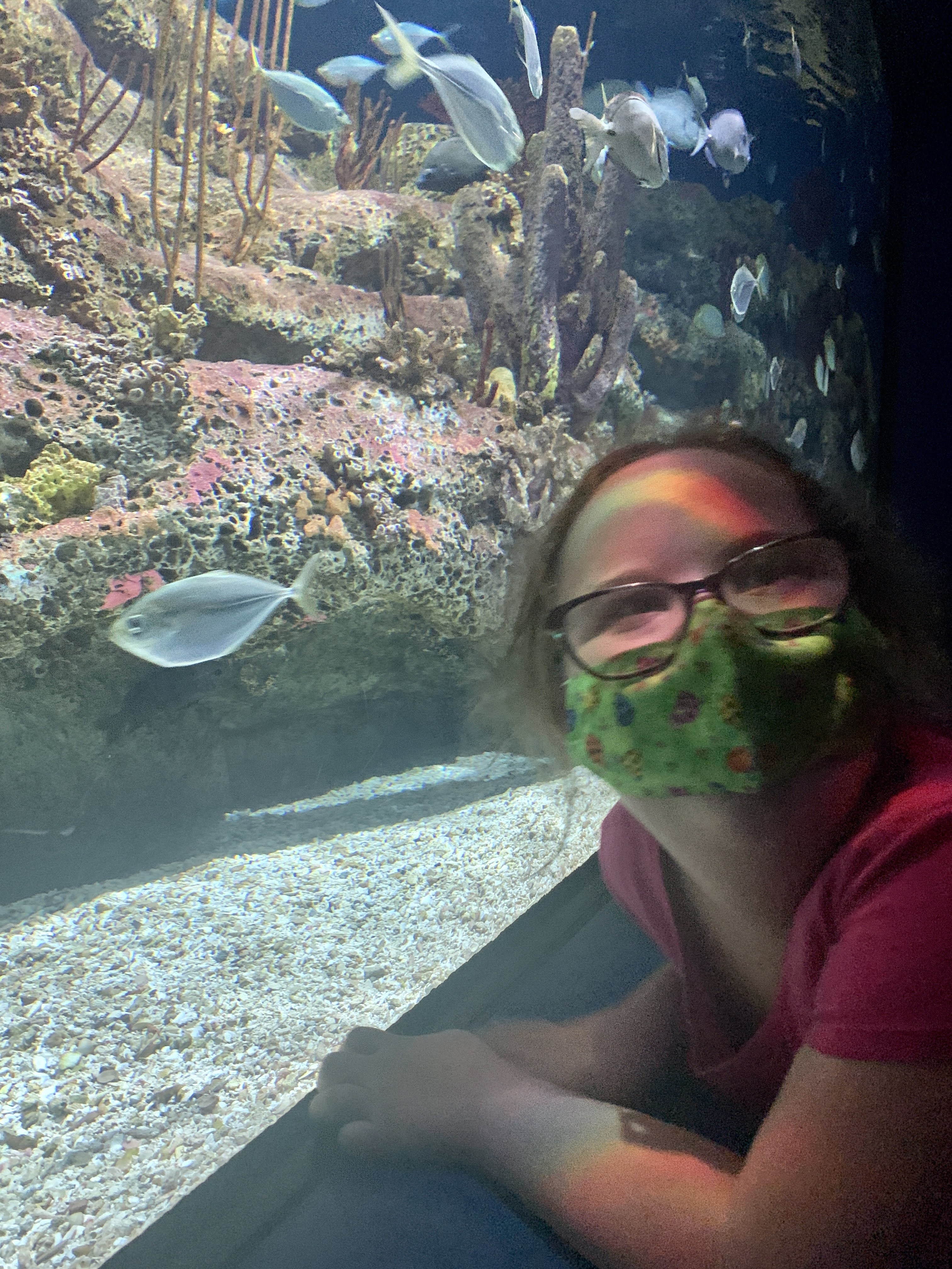 aquarium